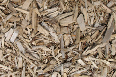 biomass boilers Denhead Of Gray